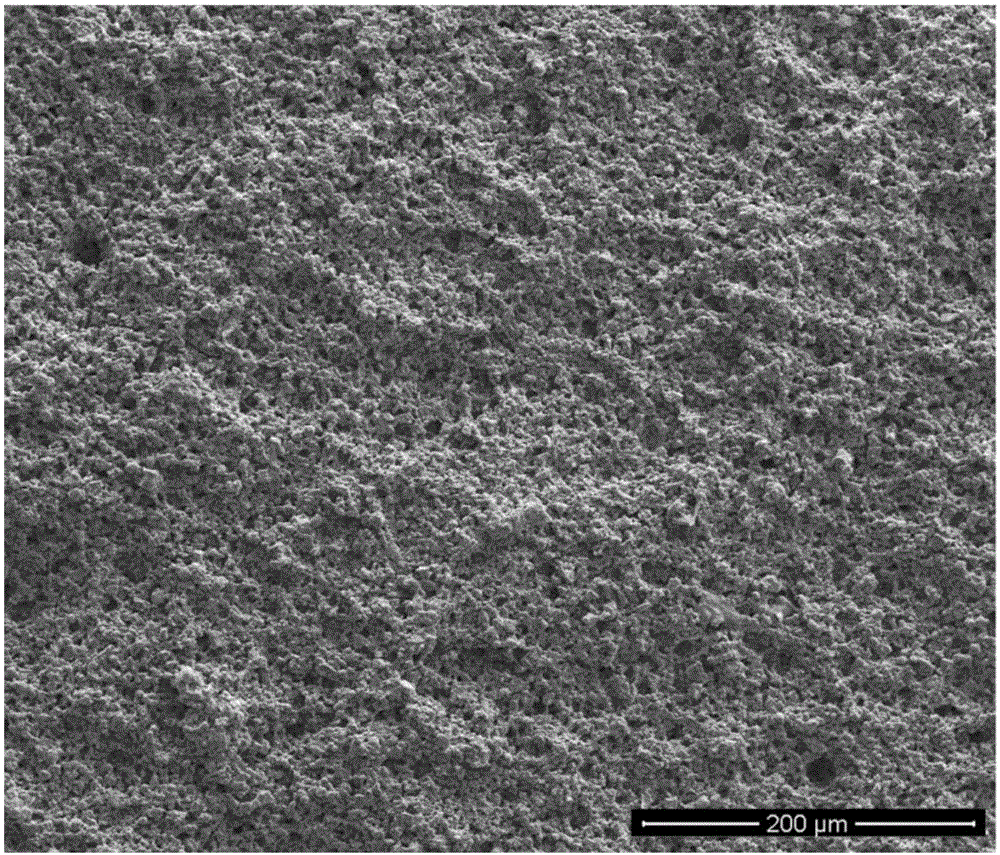 Preparation method of mullite oxidation resistant coating