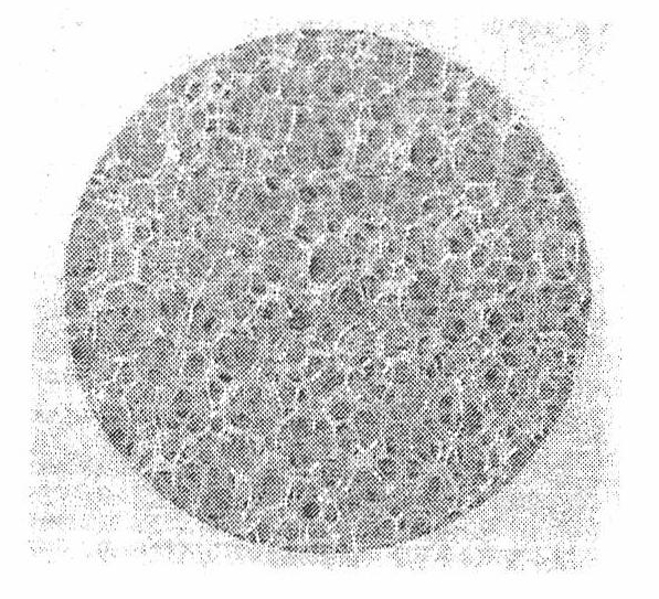 Natural plant oil based hydrophile low-resilience foam and preparation method thereof