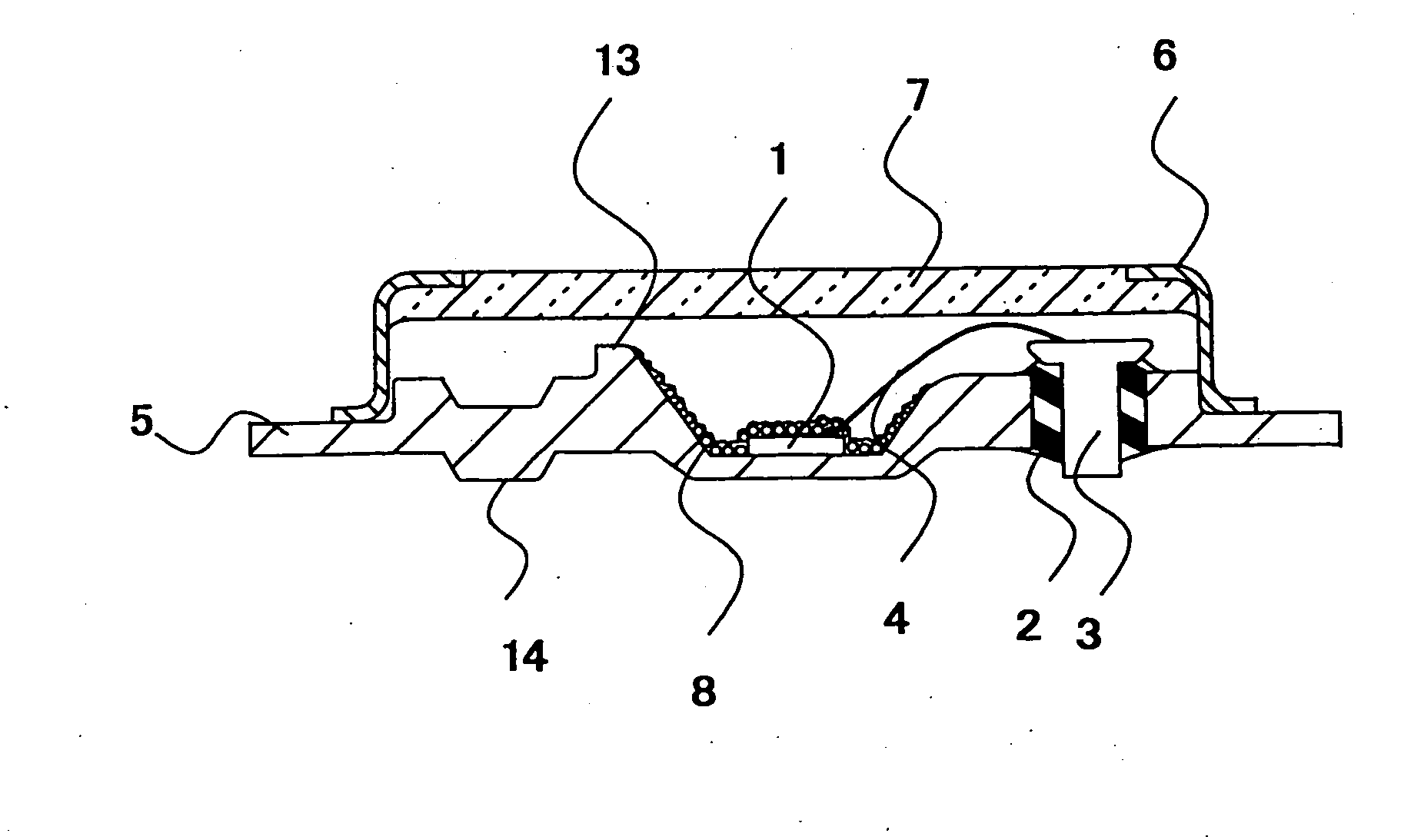 Light emitting device