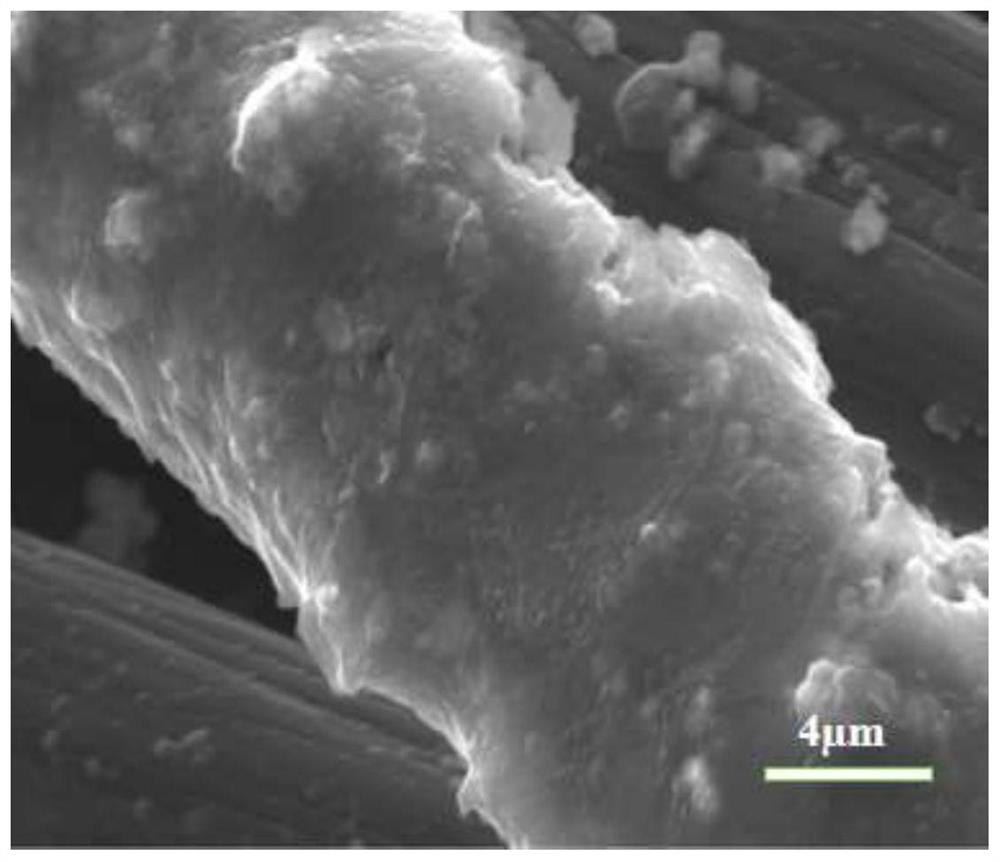 Organic lithium-philic composite negative electrode taking three-dimensional conductive carbon material as substrate and preparation method of organic lithium-philic composite negative electrode