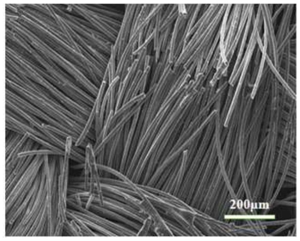 Organic lithium-philic composite negative electrode taking three-dimensional conductive carbon material as substrate and preparation method of organic lithium-philic composite negative electrode