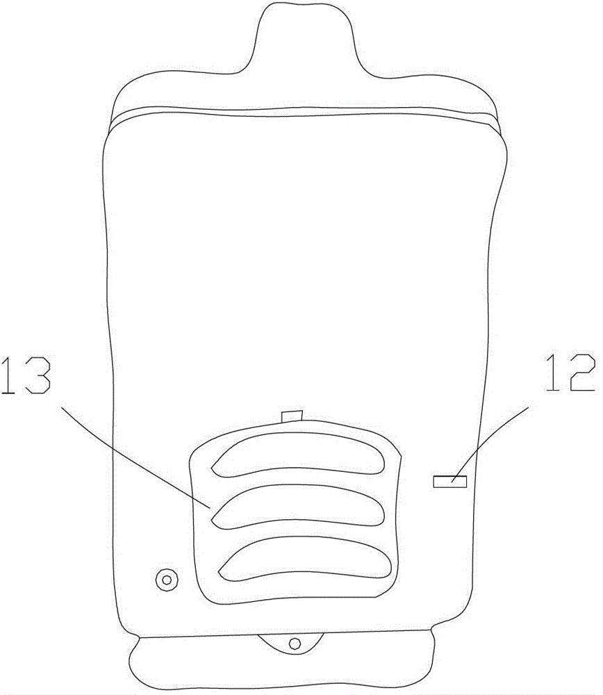 Multifunctional intelligent fumigating cabin