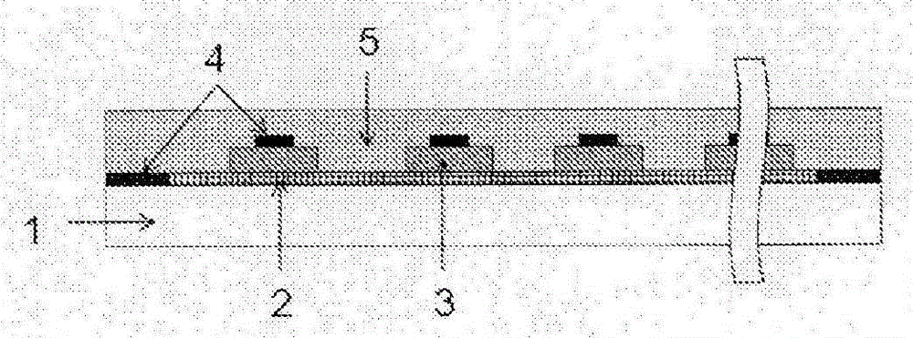 Photosensitive resin composition, protection film or insulation film, touch panel and method for manufacturing same