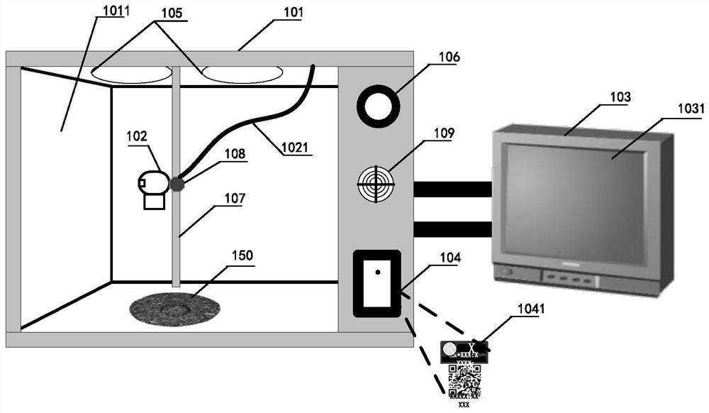 Article texture processing device, method and system, electronic equipment and storage medium