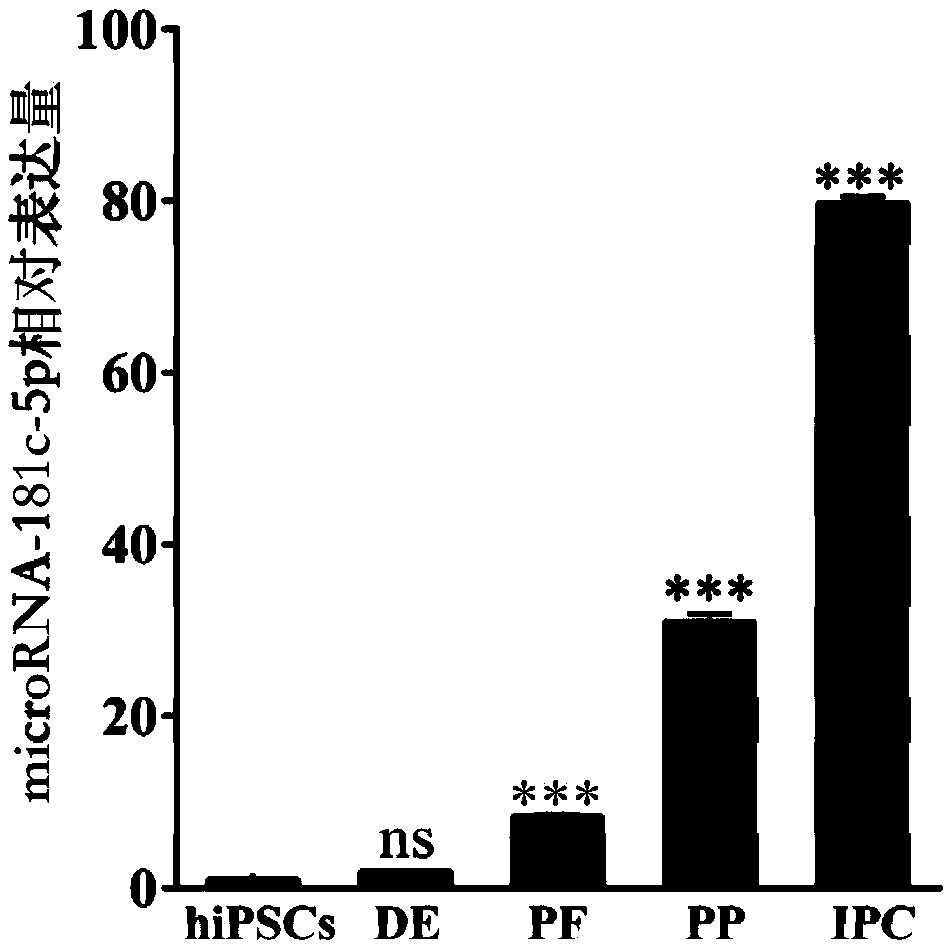 Method for promoting human iPS to be directionally differentiated into pancreatic Beta cells through microRNA-181c-5p