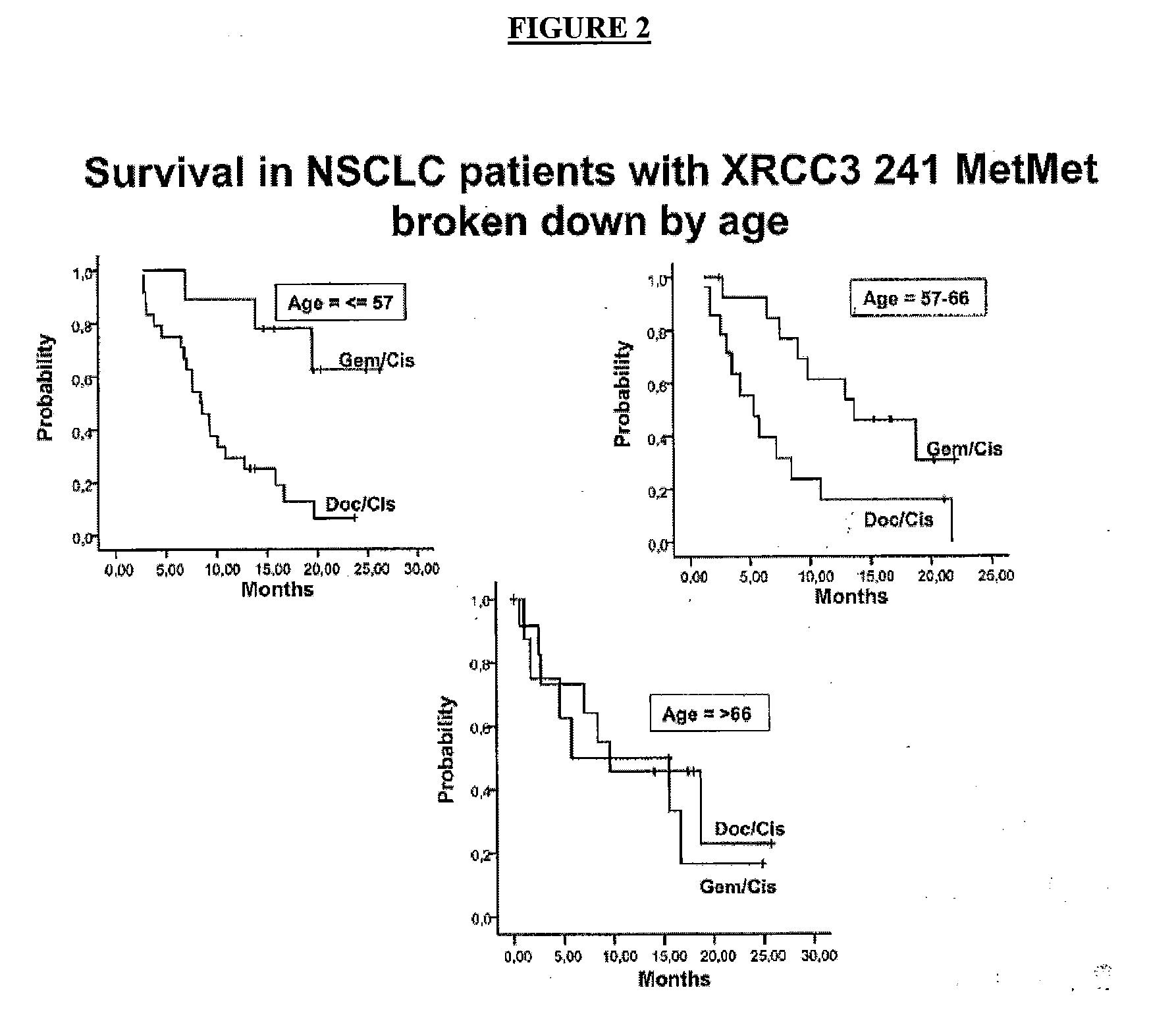 Method of determining outcome of non small-cell lung cancer according to xrcc3 polymorphism