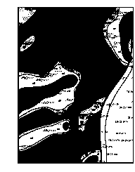 Changing-streamline adjusting method after polymer flooding