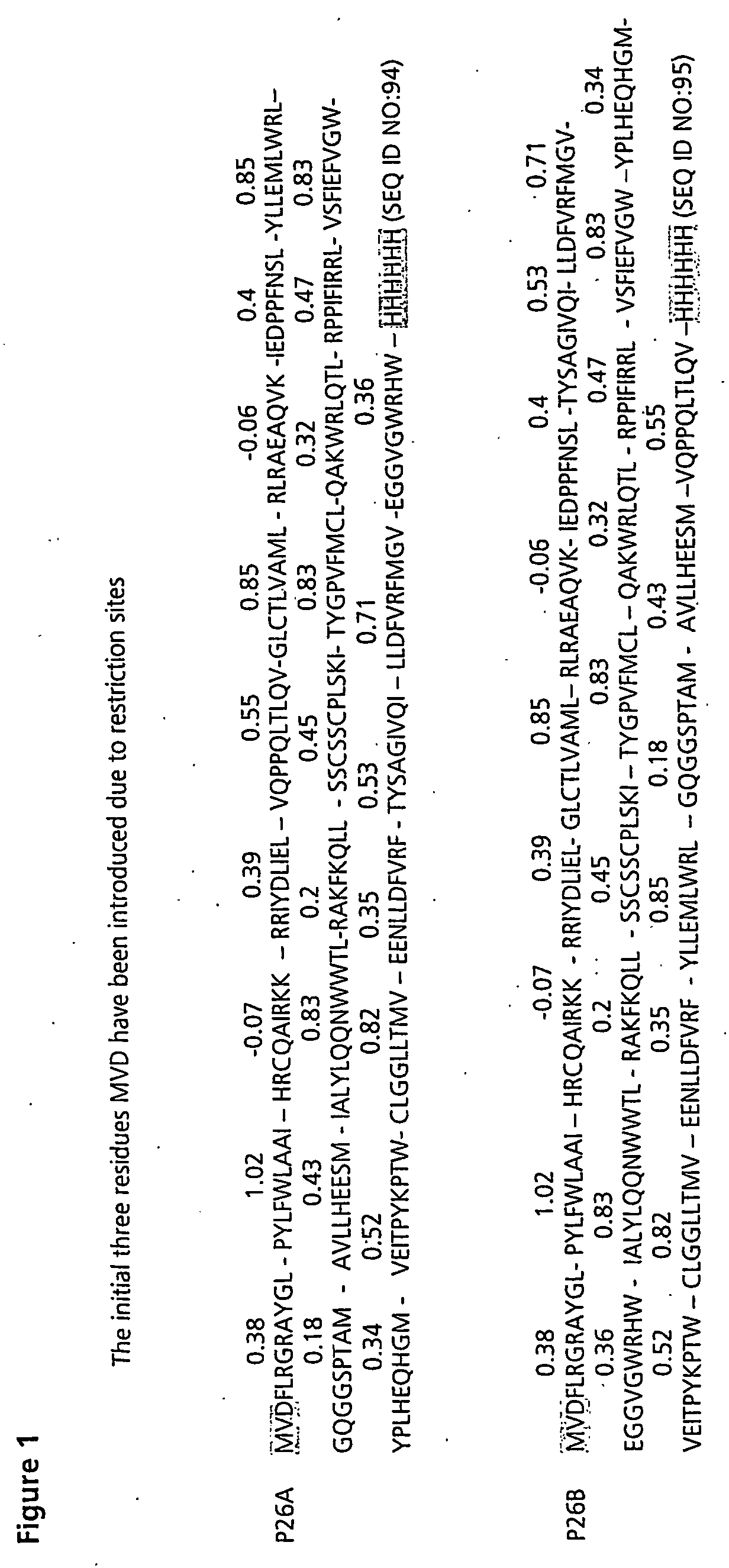 Expression of hydrophobic proteins