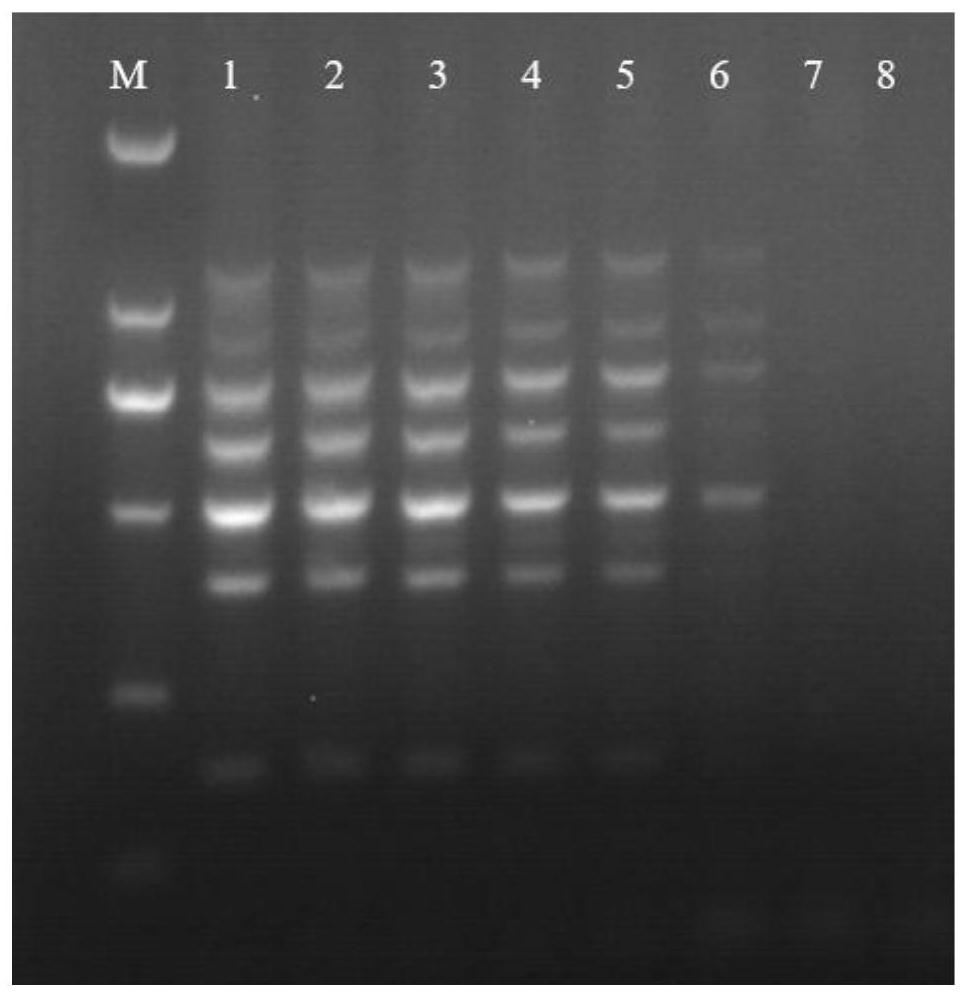 Three-in-one seven-fold PCR detection primer set, kit and detection method for virulence genes of Streptococcus agalactiae