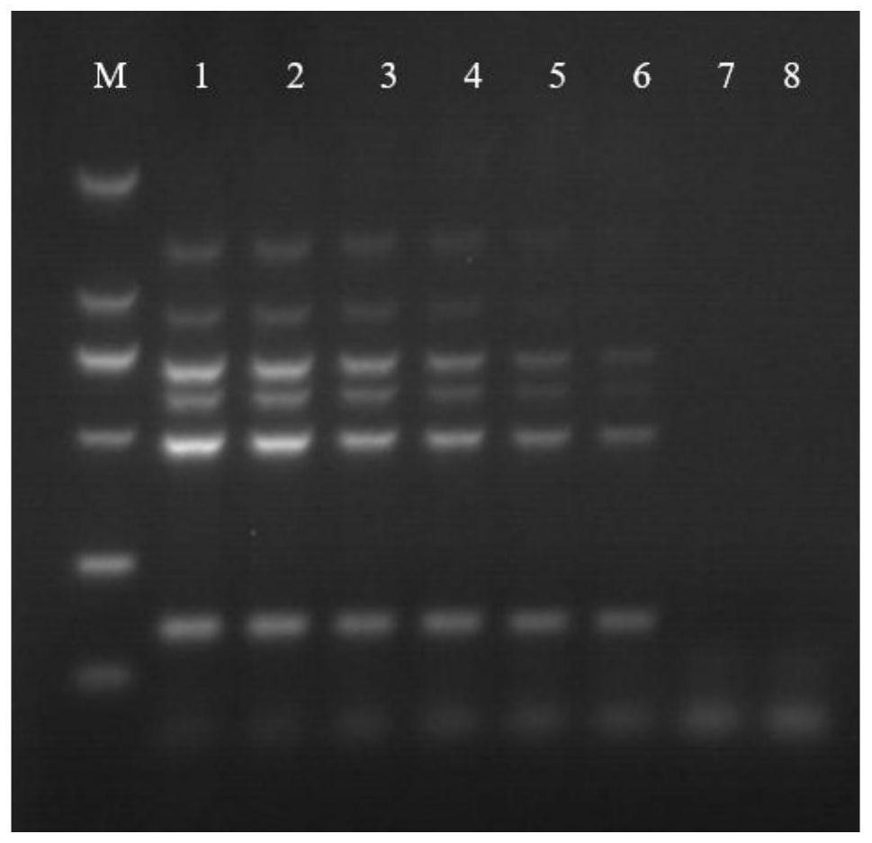 Three-in-one seven-fold PCR detection primer set, kit and detection method for virulence genes of Streptococcus agalactiae