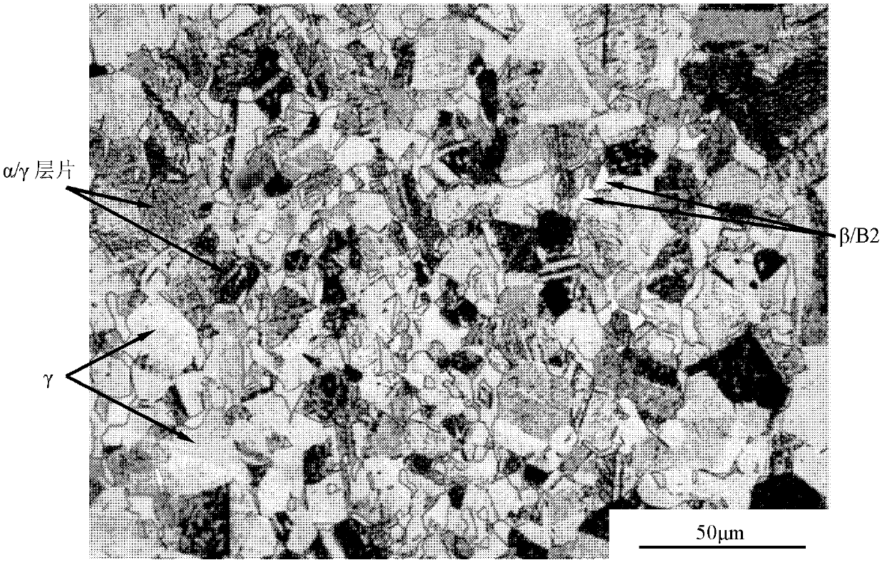 TiAl based alloy metallographic specimen corroding method