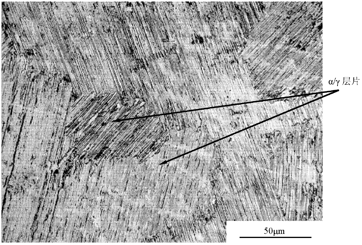 TiAl based alloy metallographic specimen corroding method