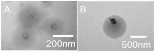 Enzyme-polymer complex capable of decontaminating nerve agents and preparation method and applications thereof