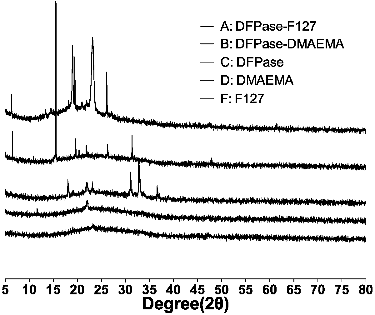 Enzyme-polymer complex capable of decontaminating nerve agents and preparation method and applications thereof