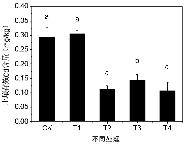 Safe rice production method applied to soil with medium and mild cadmium contamination