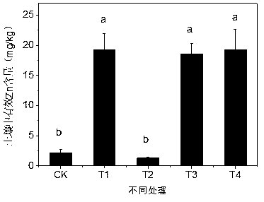 Safe rice production method applied to soil with medium and mild cadmium contamination