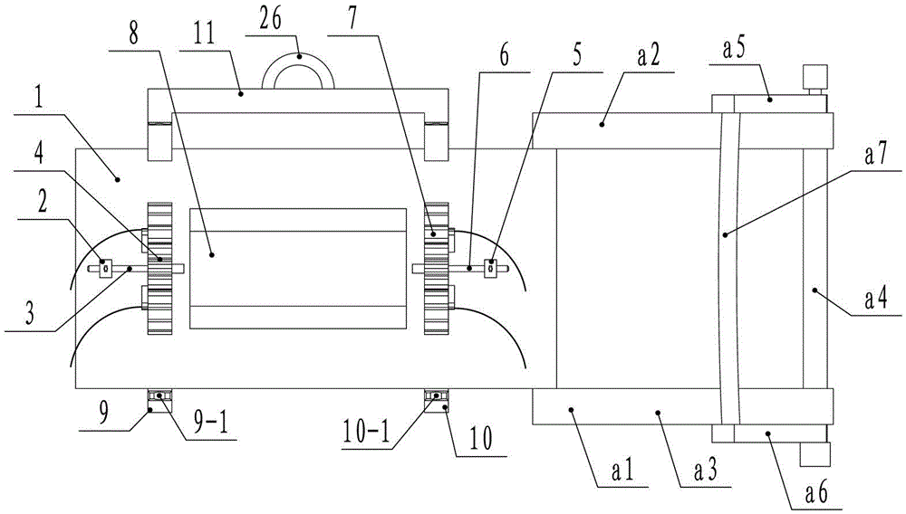 Special device for fixing mouse during ultrasonic examination