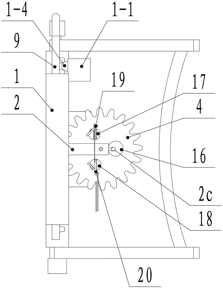 Special device for fixing mouse during ultrasonic examination