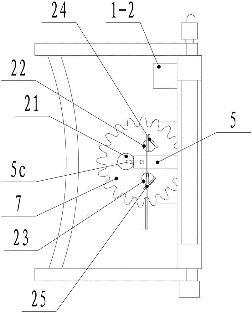 Special device for fixing mouse during ultrasonic examination