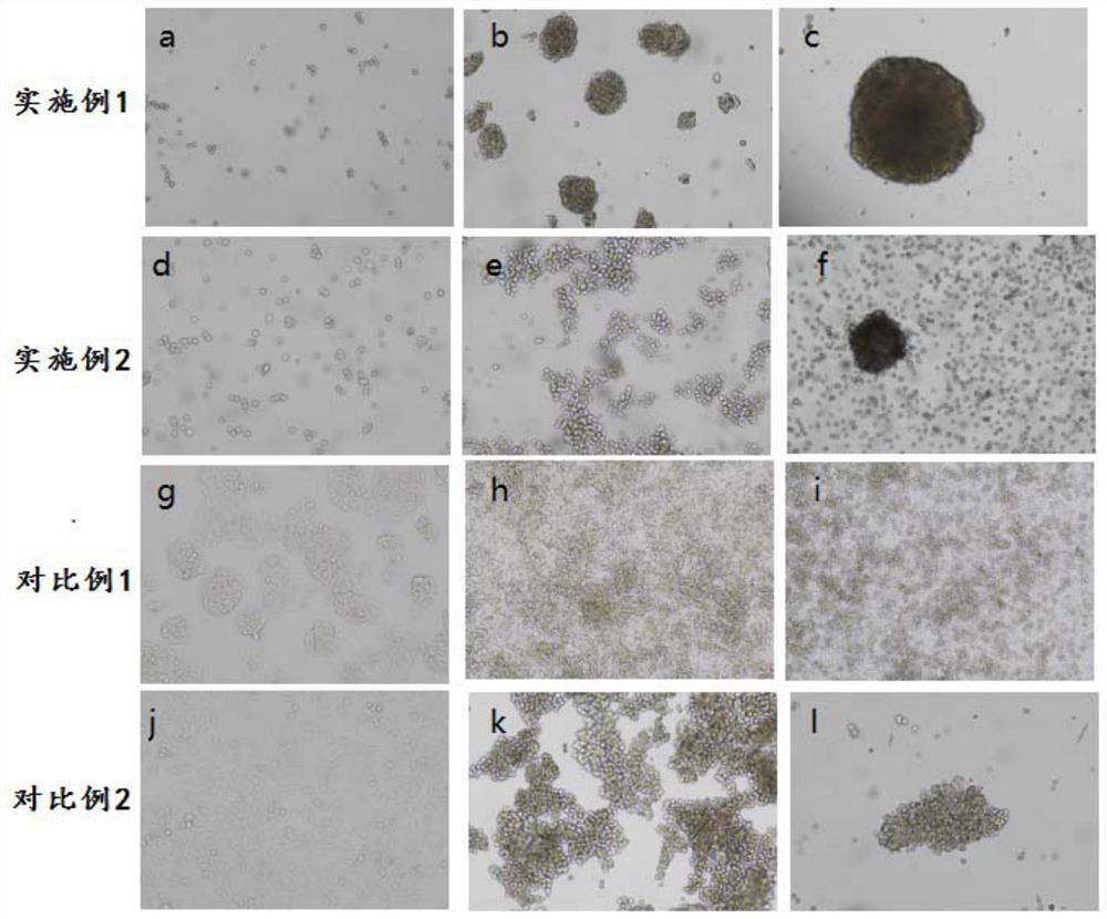 Method for inducing tumor cells to form tumor stem cells