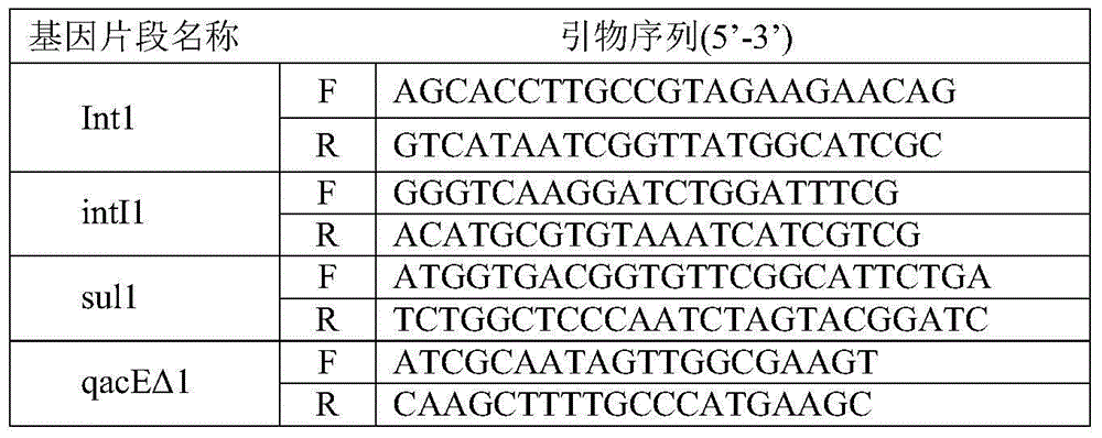 Integron In1069