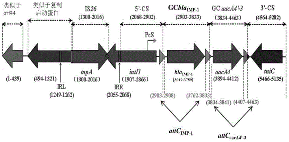 Integron In1069