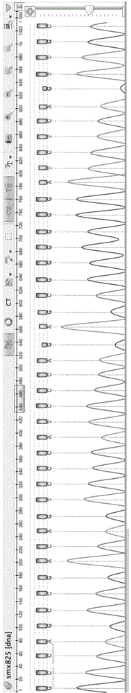 Familial specific genetic disease correlated allele haplotype variation tag confirmation method