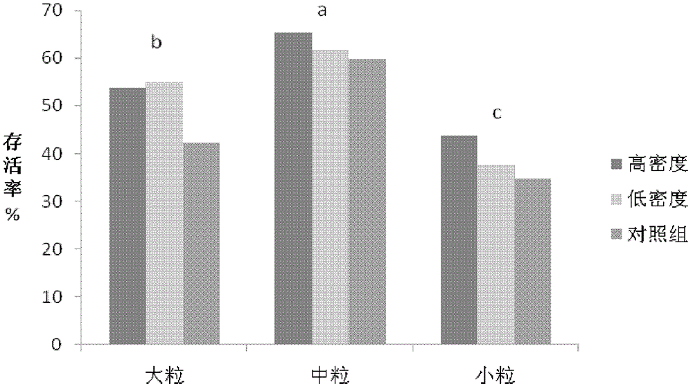 Method for constructing open-plot flower mixed combination landscape