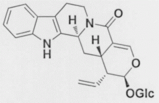 Application of strictosamide to preparation of anti-inflammatory drugs