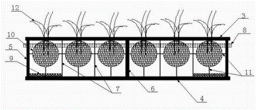 Ecological floating bed device for lake water pollution restoration