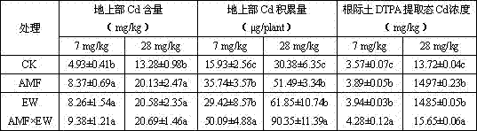 Method for improving recovering efficiency of cadmium polluted soil through lantana