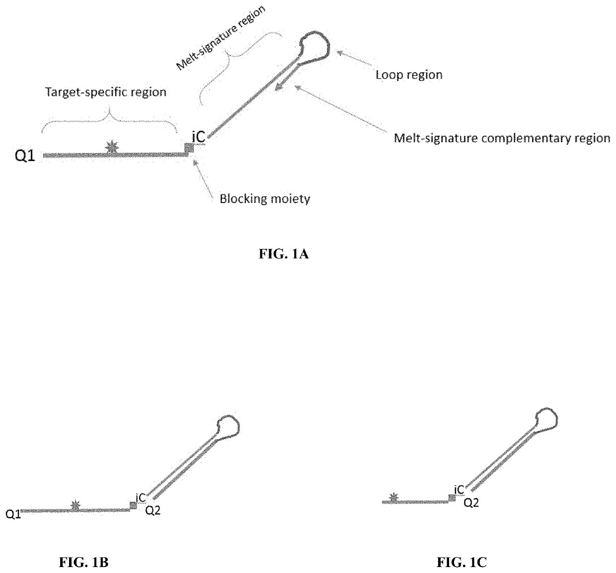 Methods and probes for performing PCR with melt analysis for increased multiplexing