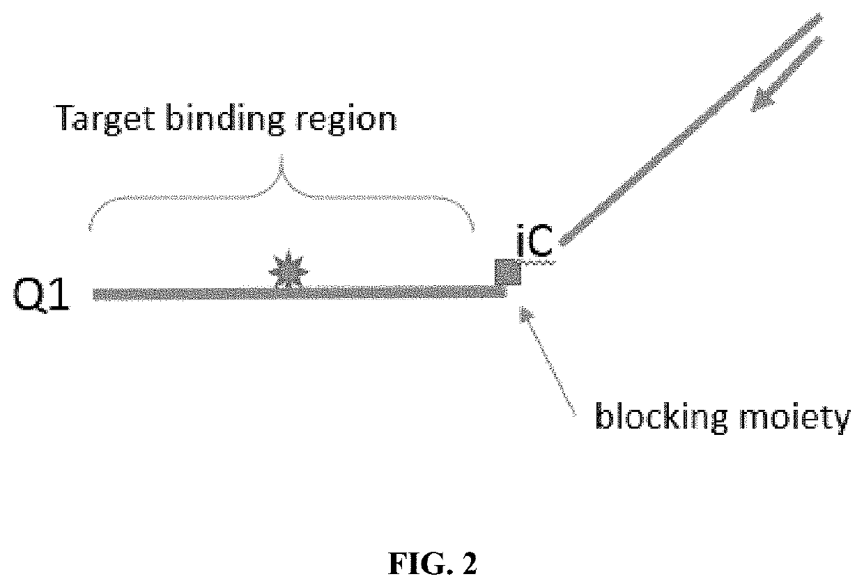 Methods and probes for performing PCR with melt analysis for increased multiplexing