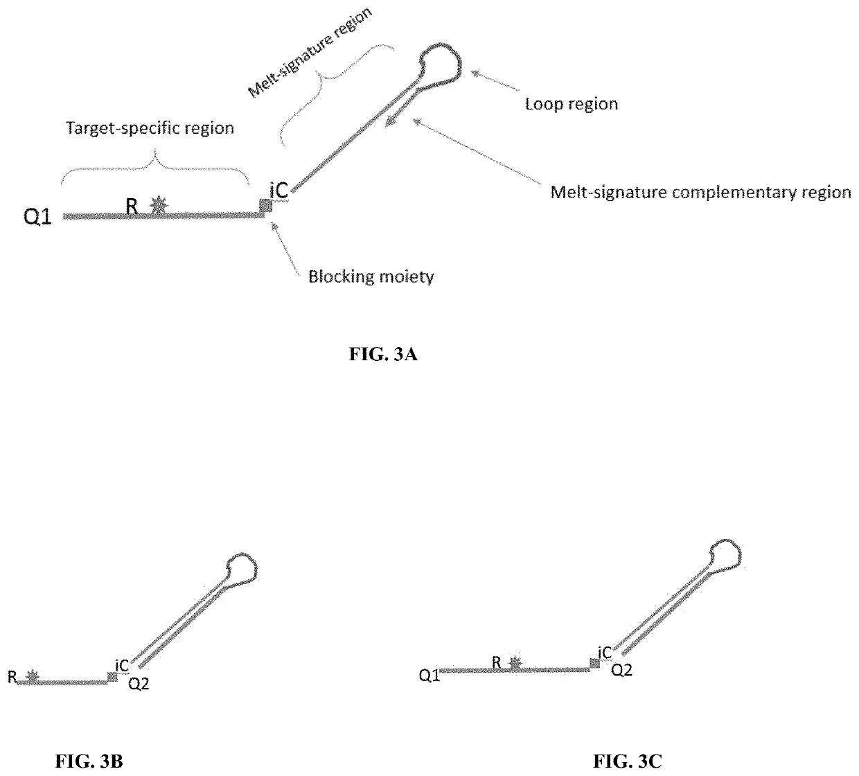 Methods and probes for performing PCR with melt analysis for increased multiplexing