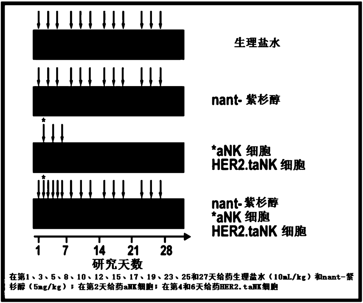 Compositions and methods for treatment of her2 positive metastatic breast cancer