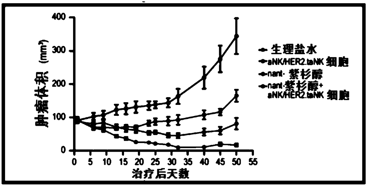 Compositions and methods for treatment of her2 positive metastatic breast cancer