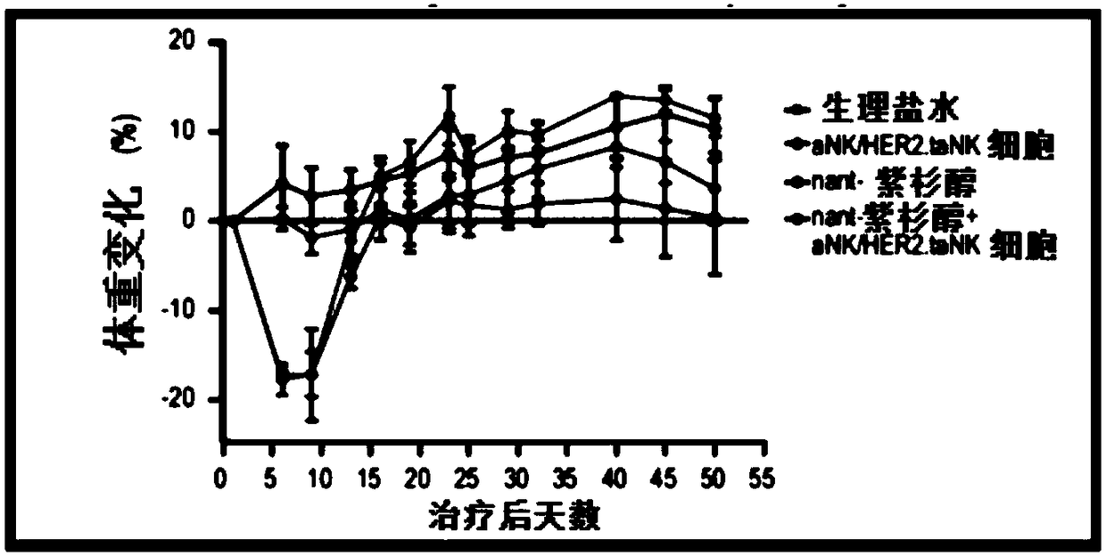 Compositions and methods for treatment of her2 positive metastatic breast cancer