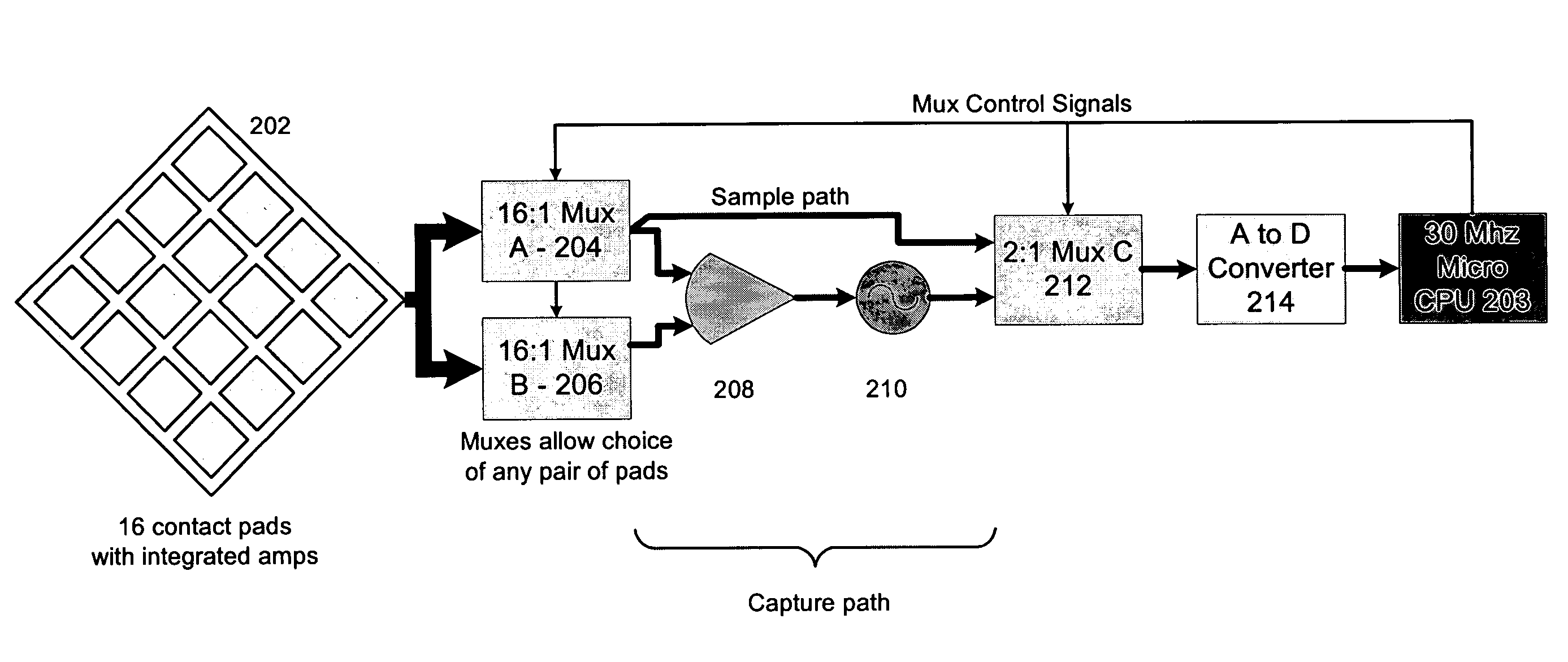 System and method for detecting and analyzing electrocardiological signals of a laboratory animal