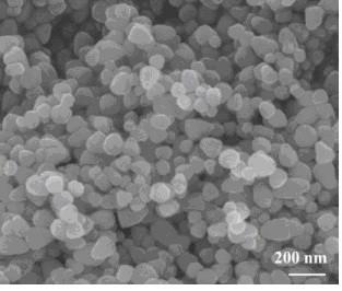 Treatment process for improving aging resistance of cork wood by using nano ZnO coating