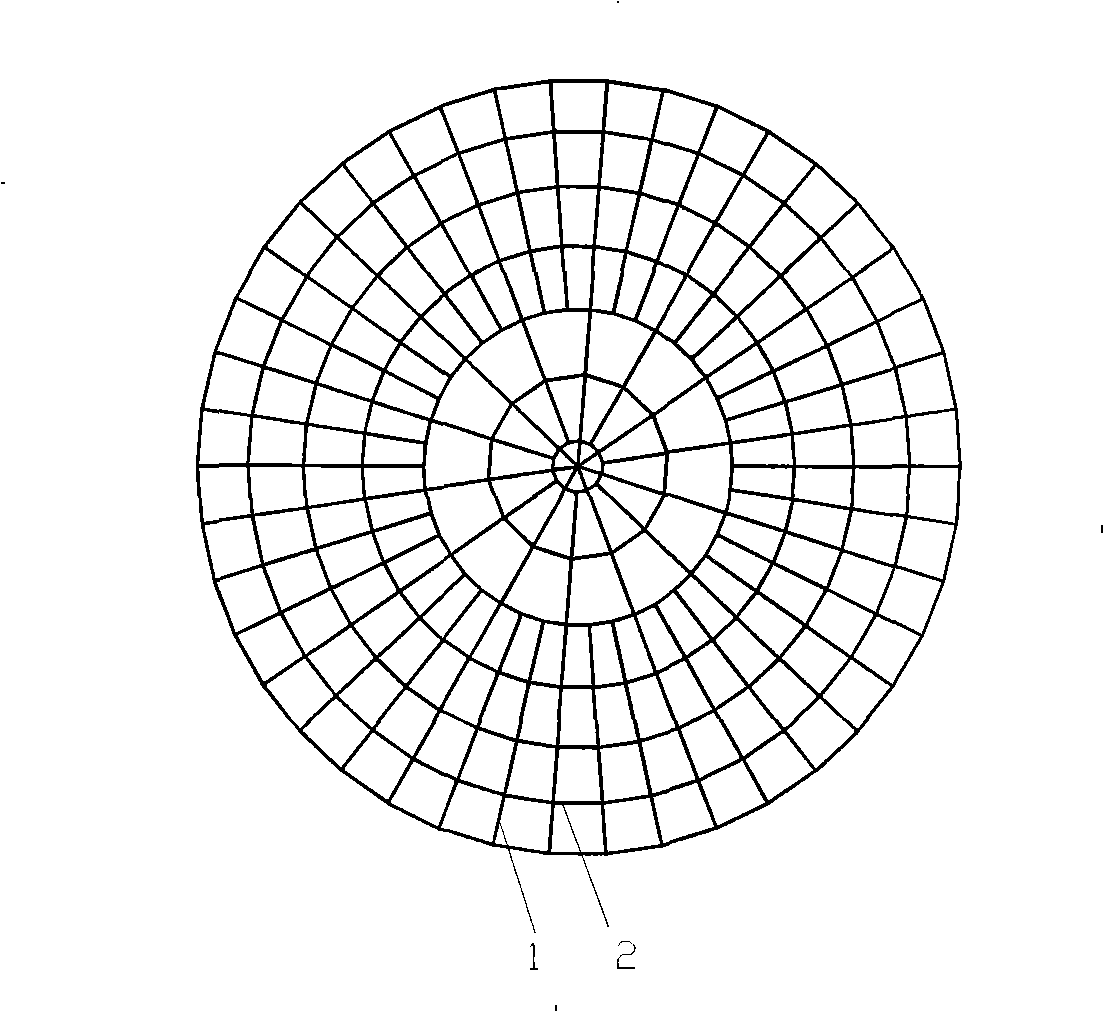 Local double layer open chord spherical reticulated shell