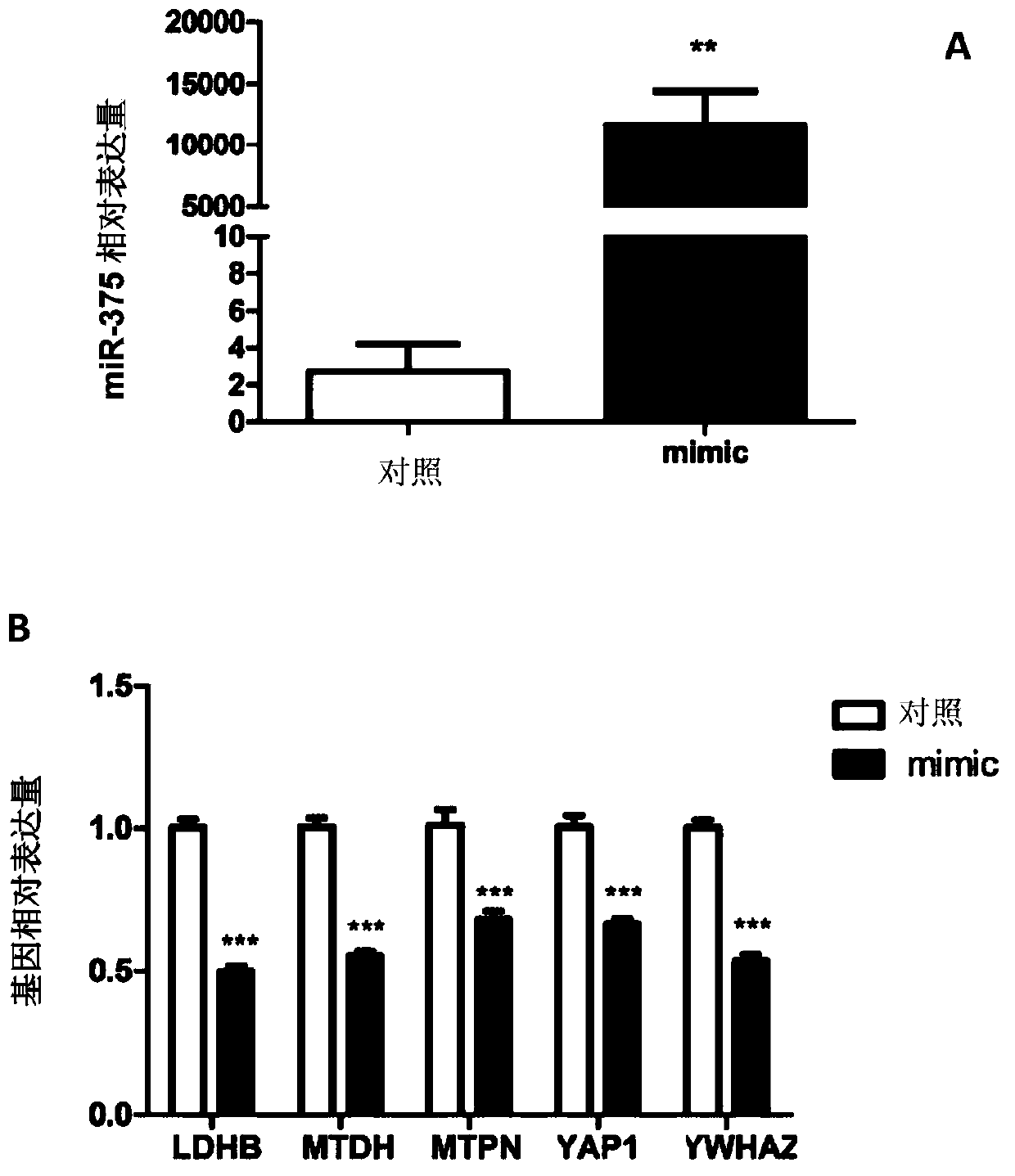 Application of MTDH to preparation or screening of drugs for curing hyperaldosteronism adenomata or adrenal tumors