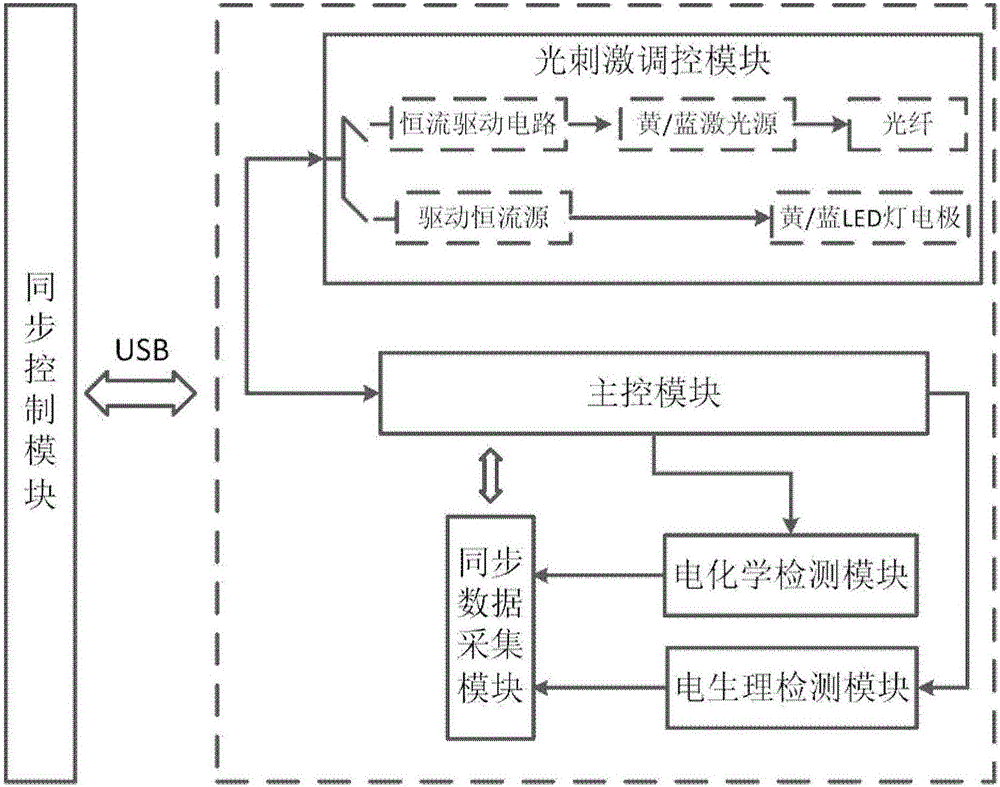 Light control and neural information detection system