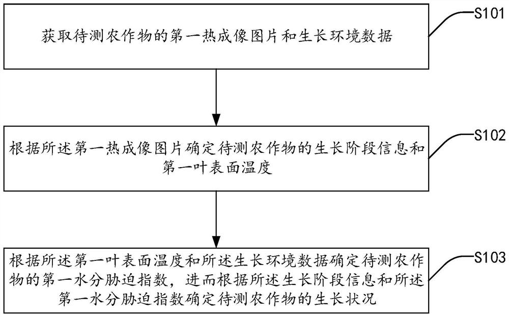 Crop growth condition detection method, system and device and storage medium