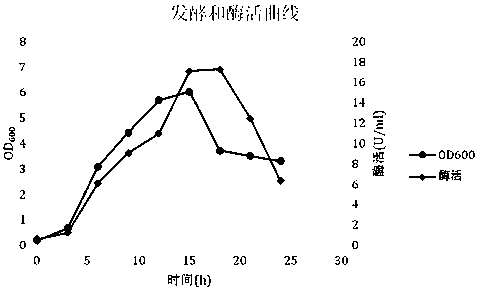 Construction method of recombinant Bacillus subtilis expressing d-psicose 3-epimerase based on d-alanine-deficient selection marker