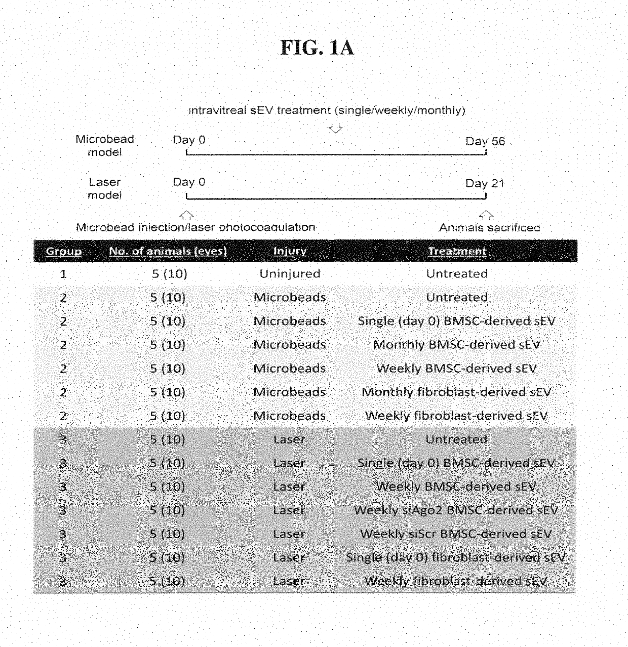 Exosomes and mirna to treat glaucoma