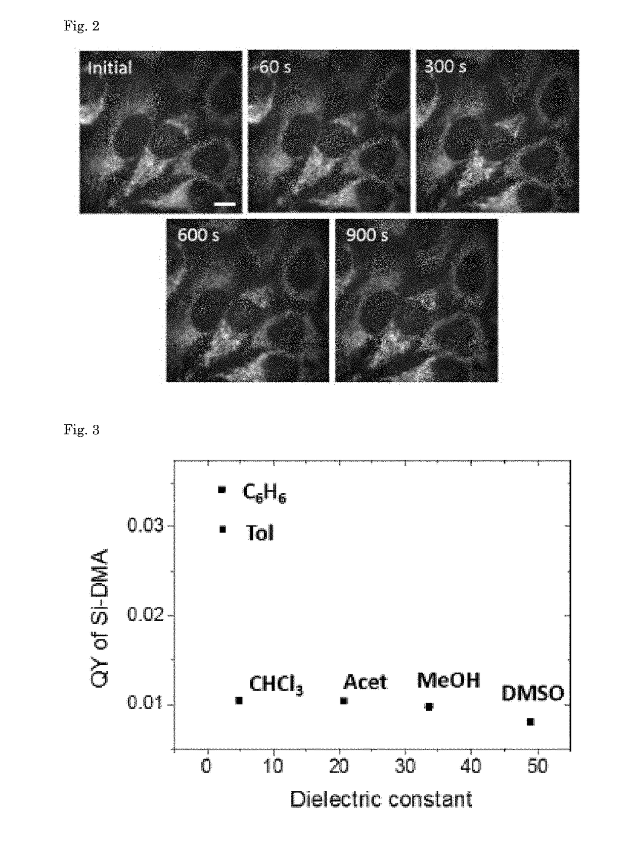 Fluorescent Probe, Singlet Oxygen Detection Agent, and Singlet Oxygen Detection Method