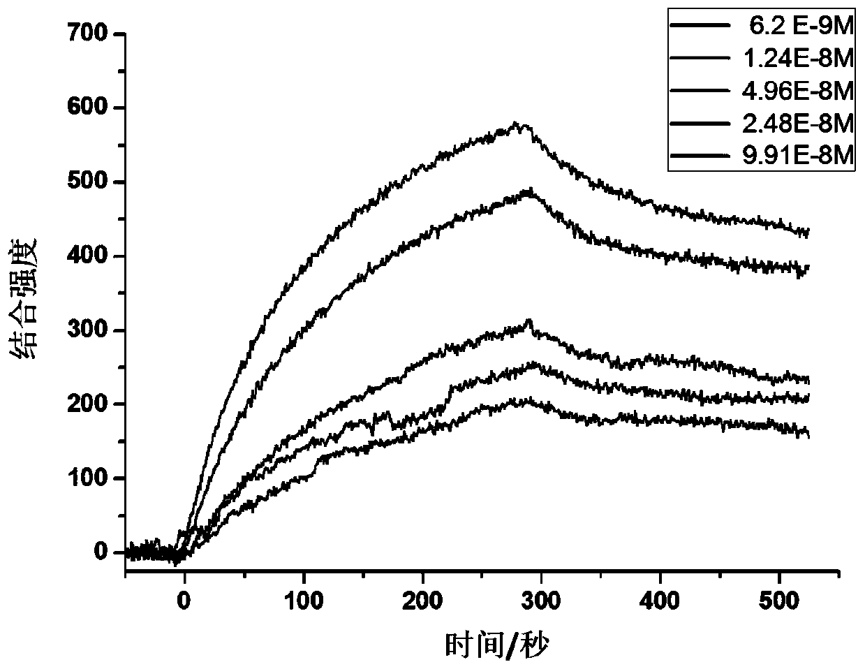 A polypeptide targeting tumor stem cell marker cd133 and its application