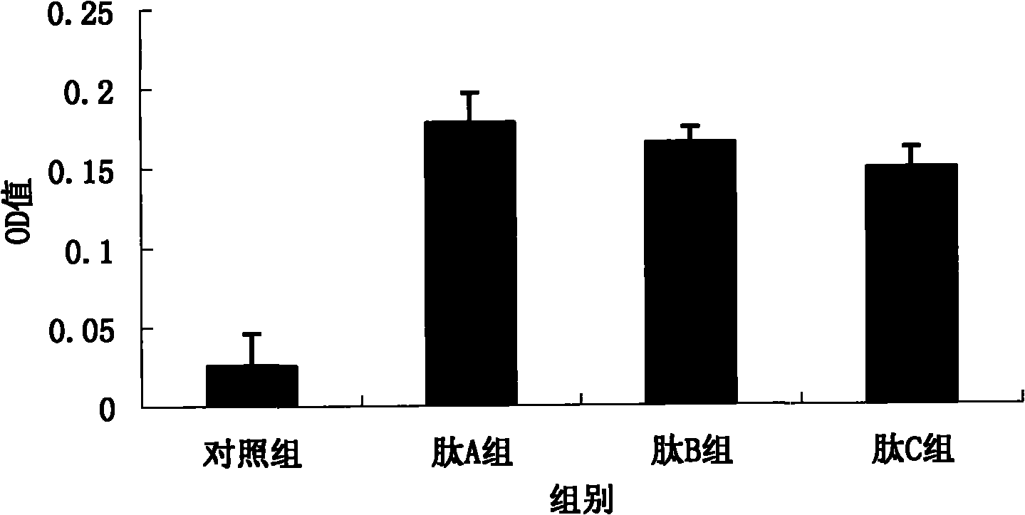 Peptide for preventing or treating liver damage