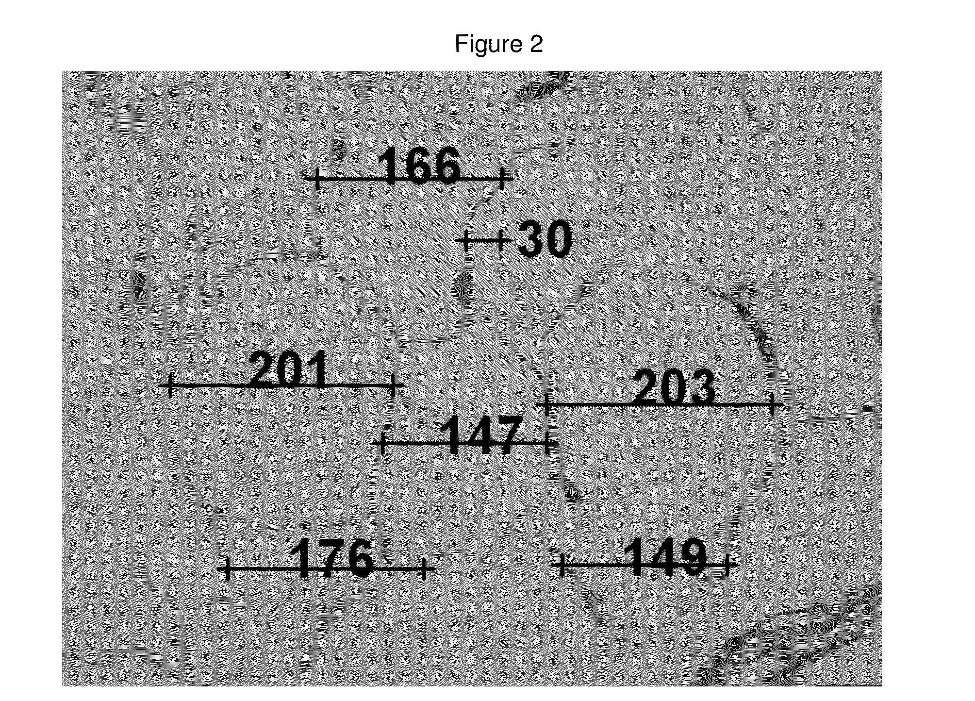 Medicinal cosmetic lipoatrophy