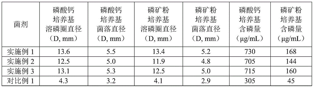 Lysinibacillus fusiformis and microbial agent, as well as applications thereof